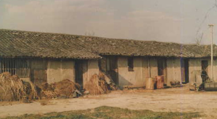 g-1986